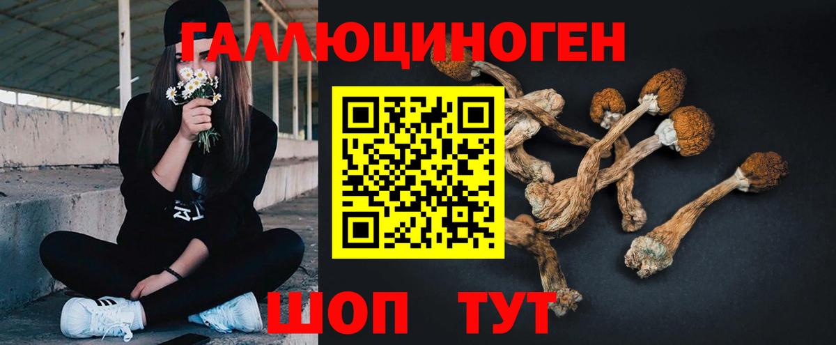Псилоцибиновые грибы ЛСД  Псилоцибиновые грибы ЛСД  Новый Уренгой  Вход с VPN 